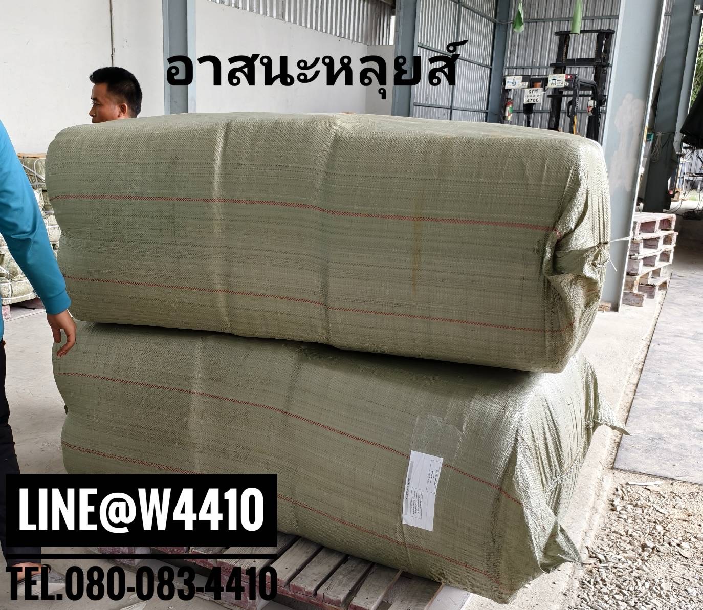 อาสนะหลุยส์