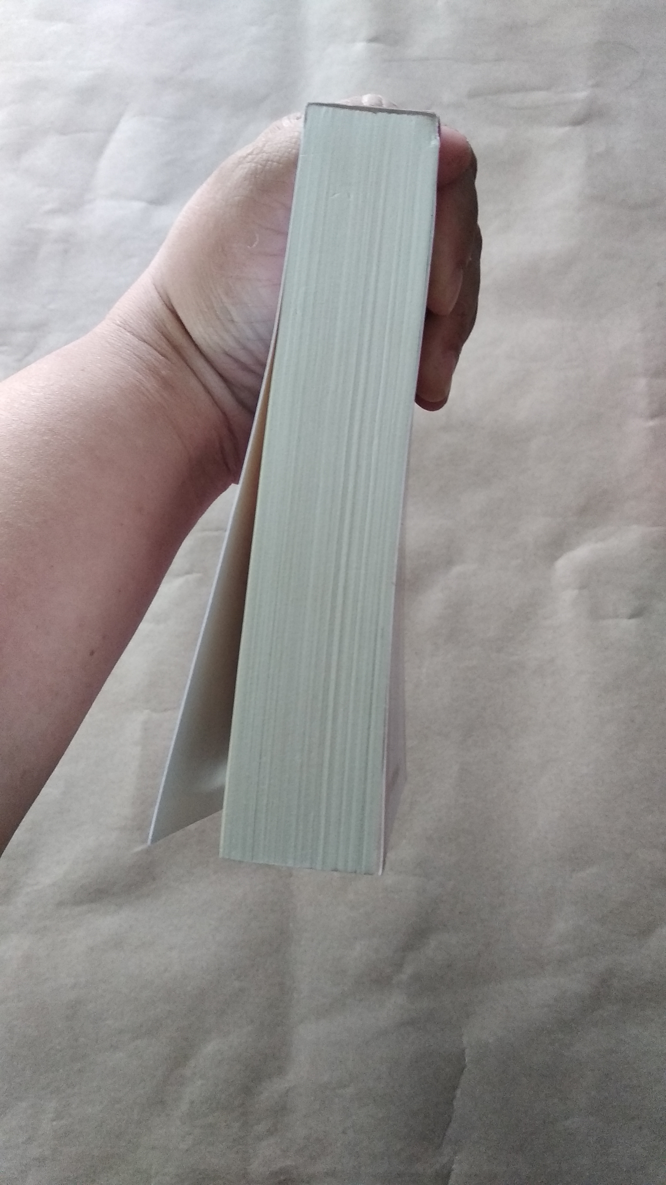 จารจำนาง โดย 于晴 อวี๋ฉิง นิยายแปลจีน แจ่มใส มากกว่ารัก มือสอง