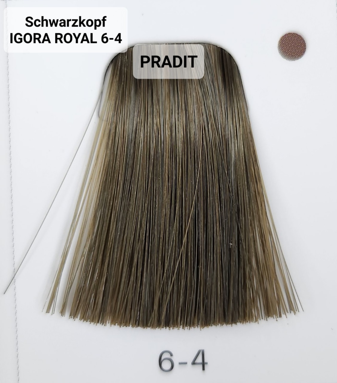 Schwarzkopf Igora Royal ครีมย้อมผม อีโกร่า รอยัล เบอร์6-4 สีบลอนด์เข้มออกเบจ (60ml) 80 กรัม