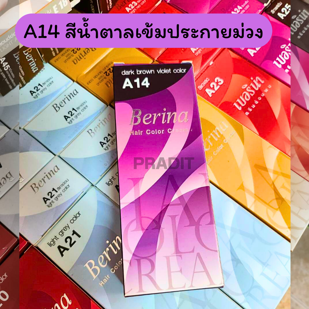 Berina Hair Color เบอร์ A14 สีน้ำตาลเข้มประกายม่วง 121 กรัม