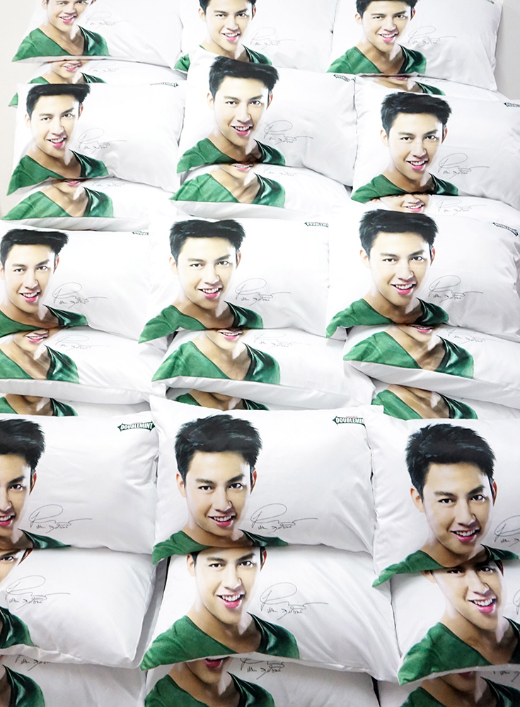 ปลอกหมอนหนุน หมาก ปริญ สำหรับ DOUBLEMINT