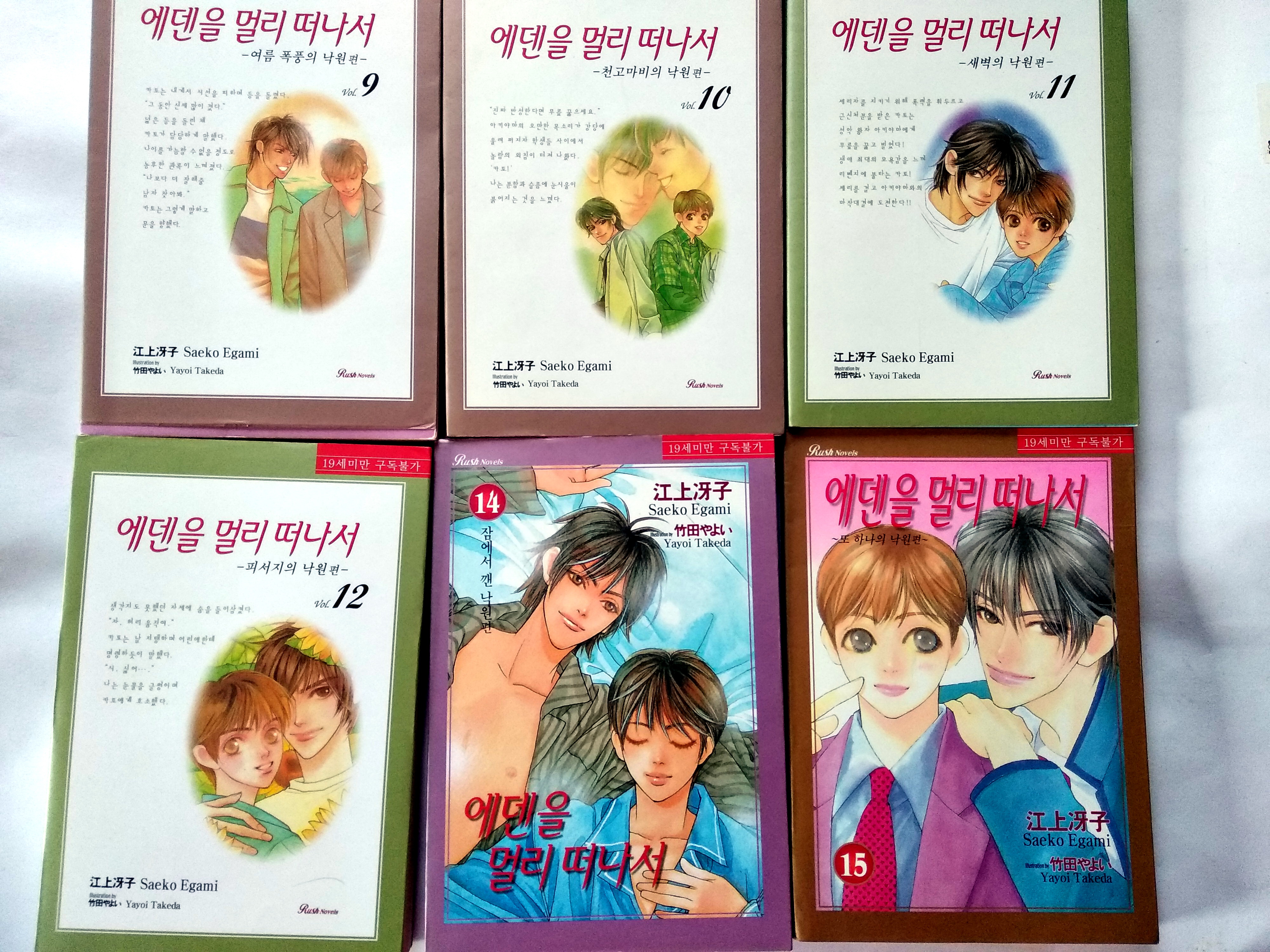 นิยายวายภาษาเกาหลี 에덴을 멀리 떠나서 - Saeko Egami 1-18 (มือสอง ขาดเล่ม 13)