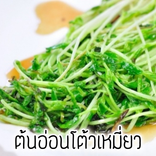 เมล็ดเพาะต้นอ่อน โต้วเหมี่ยว พันธุ์เมเปิ้ล (Pea Maple Microgreen)