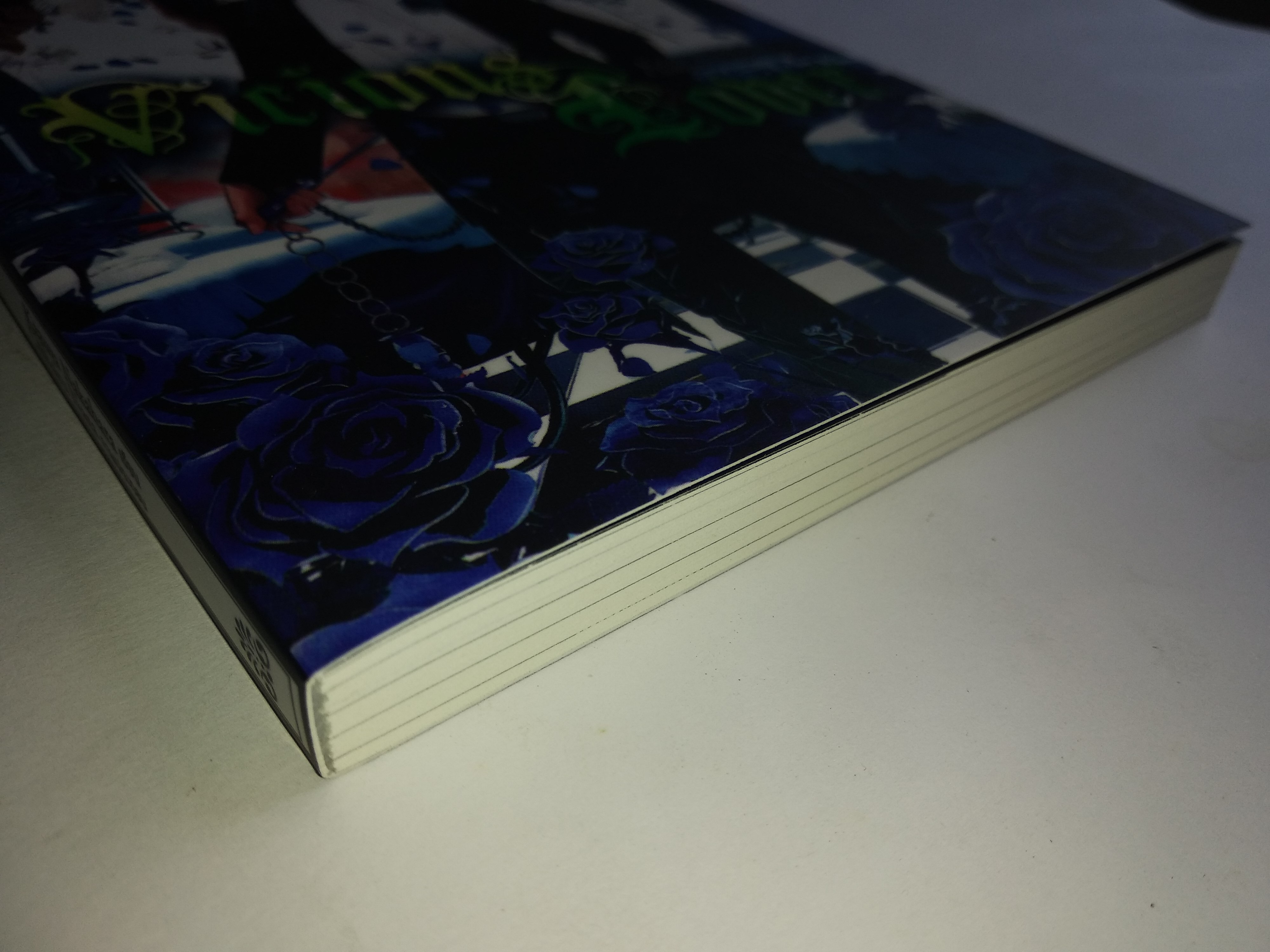 นิยายวายญี่ปุ่น Vicious Lover - KAZUYA NAKAHARA