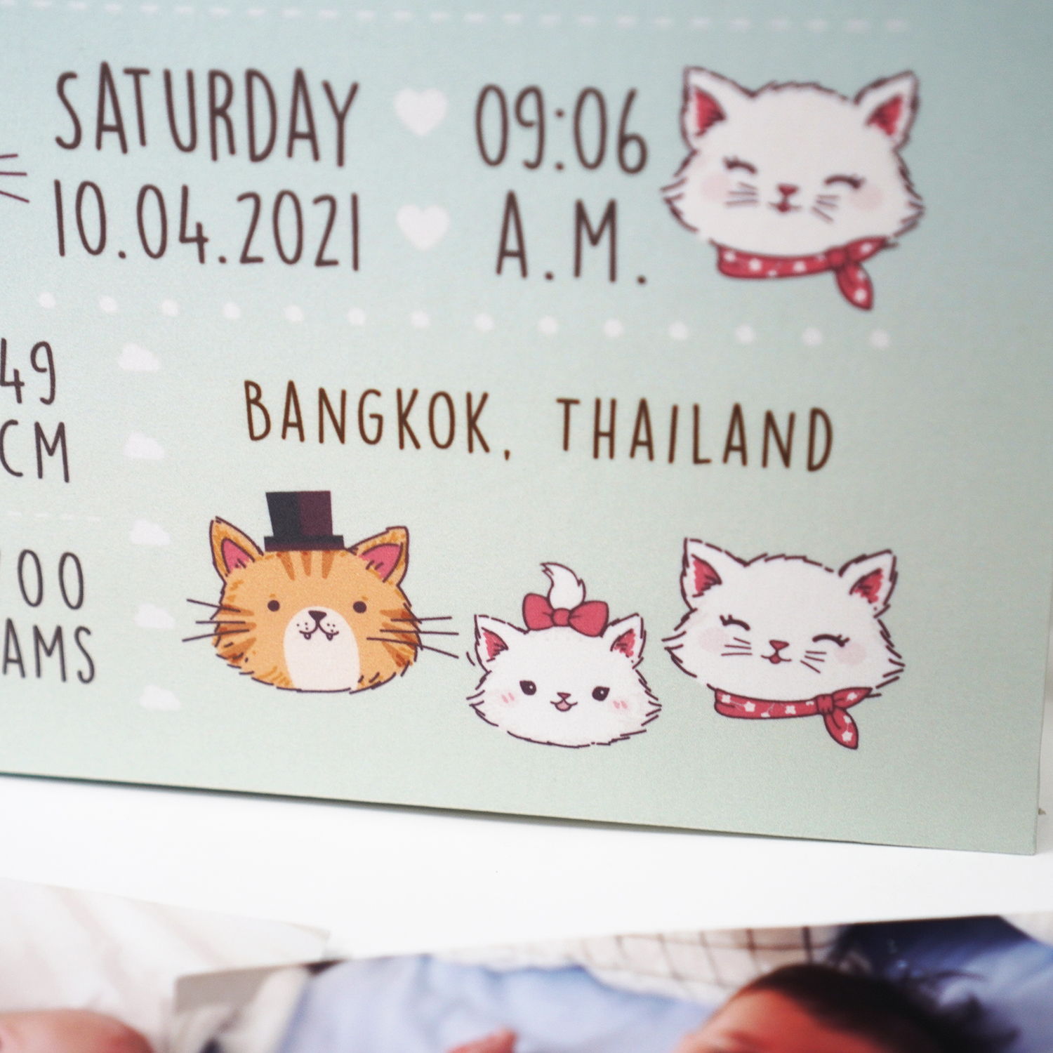 อัลบั้มสั่งทำใส่ชื่อ ลายแมว Marie