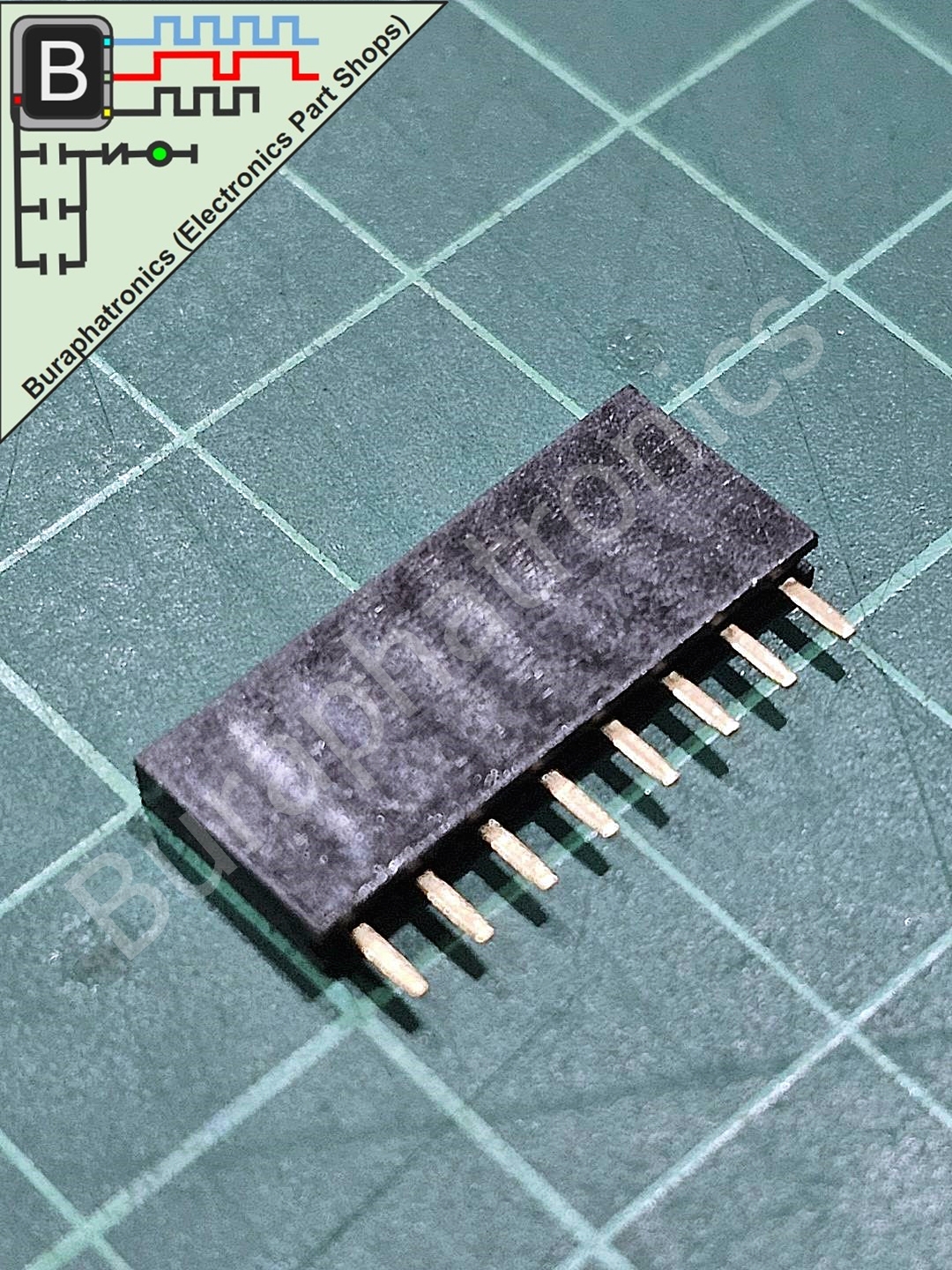 Female PinHeader 2.54mm (1x8P)