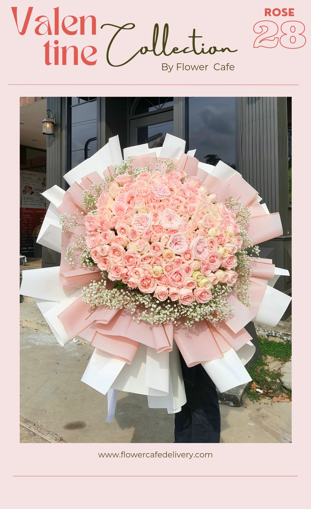 Rose 28