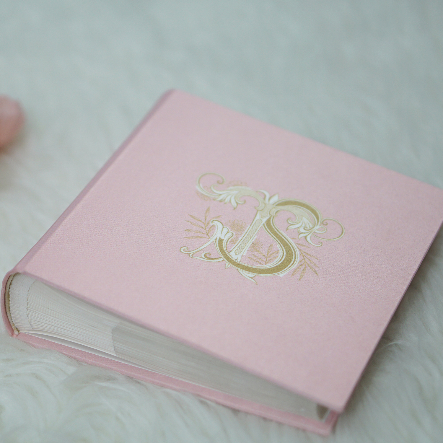อัลบั้มสั่งทำใส่ Logo