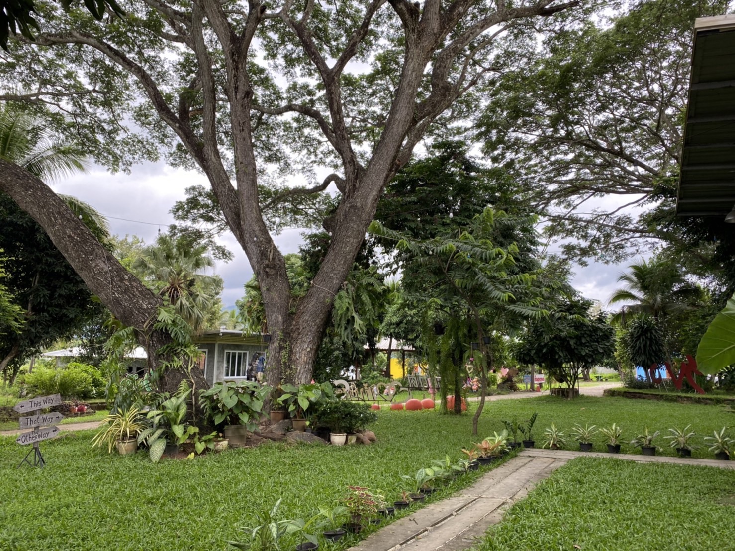 ขายรีสอร์ทพร้อมสวนอาหาร ใน จ.ลำพูน บรรยากาศท่ามกลางธรรมชาติ วิวเขาและทุ่งนา