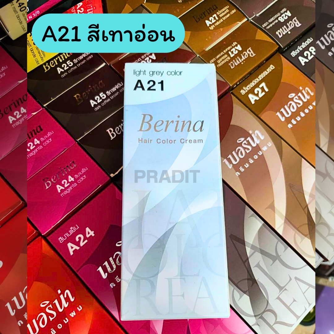 Berina Hair Color เบอร์ A21 สีเทาอ่อน 121 กรัม