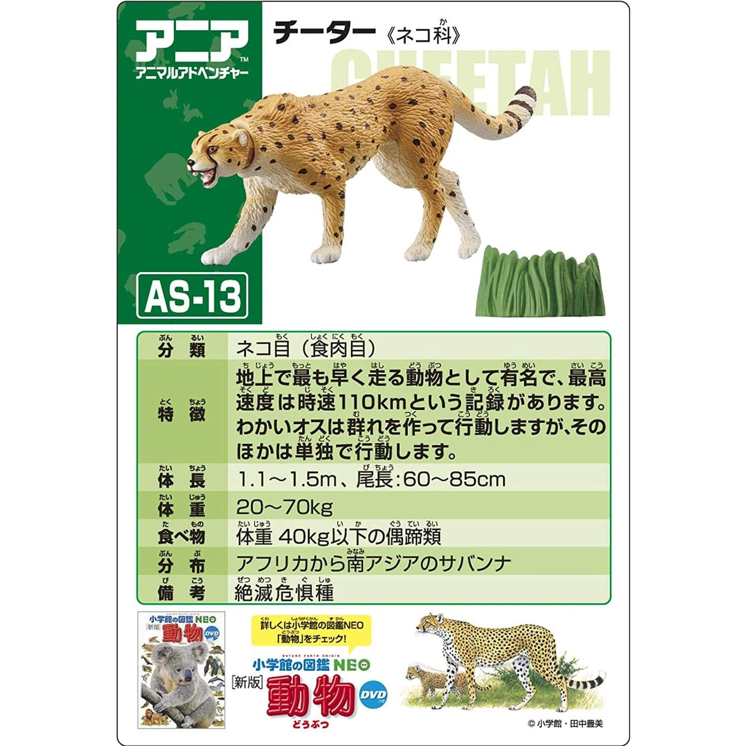 Takara Tomy - Ania AS-13 โมเดลเสือชีตาห์ Cheetah (Wild Ver.)