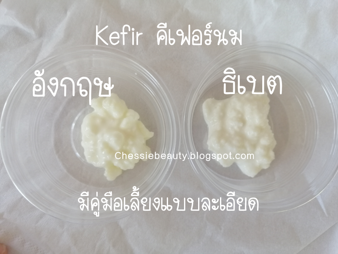 คีเฟอร์นม สายพันธ์อังกฤษ Milk Kefir UK