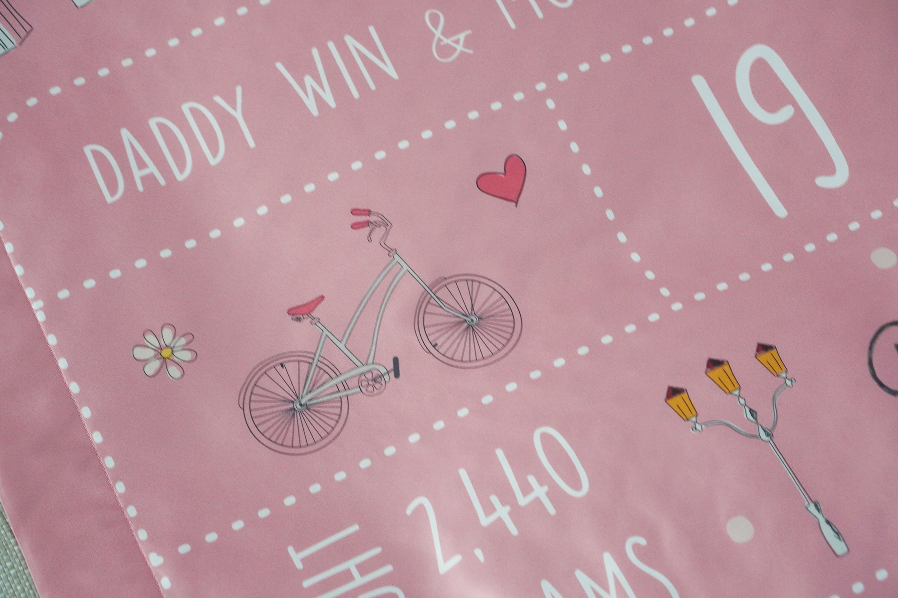 ผ้าห่มสั่งทำใส่ประวัติแรกเกิด ลาย Chinese Calendar - Pink ธีมปารีส