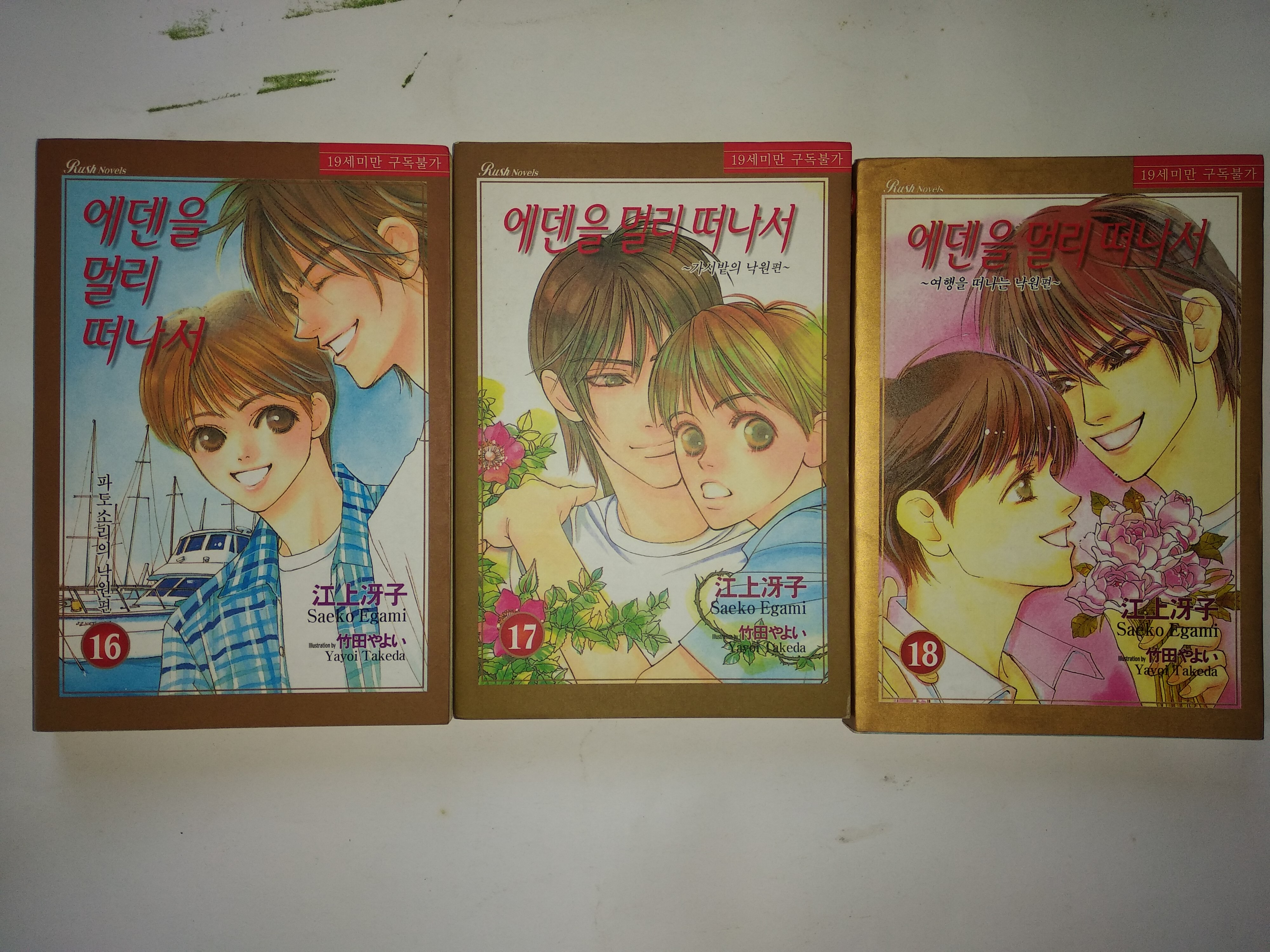 นิยายวายภาษาเกาหลี 에덴을 멀리 떠나서 - Saeko Egami 1-18 (มือสอง ขาดเล่ม 13)