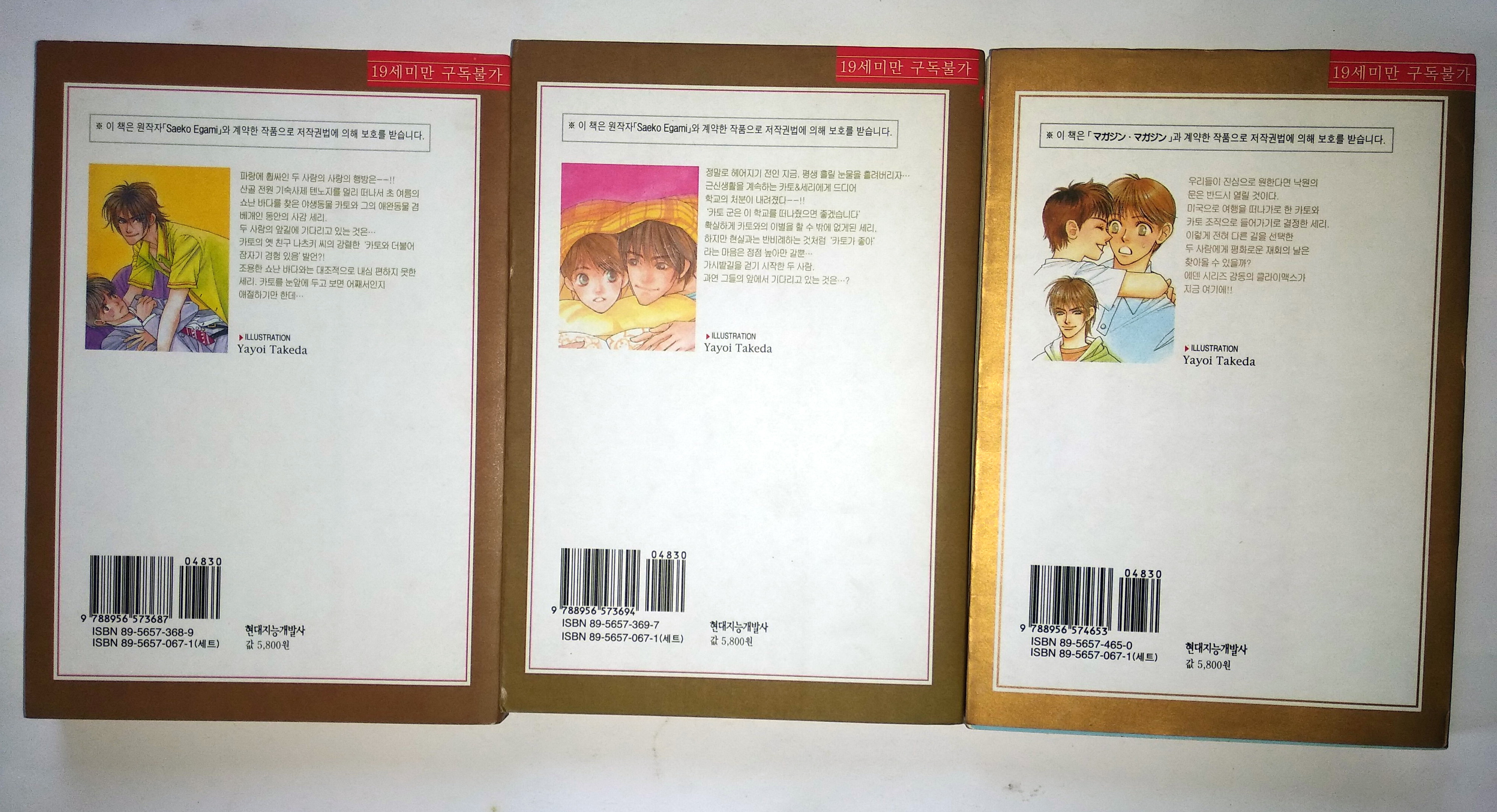 นิยายวายภาษาเกาหลี 에덴을 멀리 떠나서 - Saeko Egami 1-18 (มือสอง ขาดเล่ม 13)