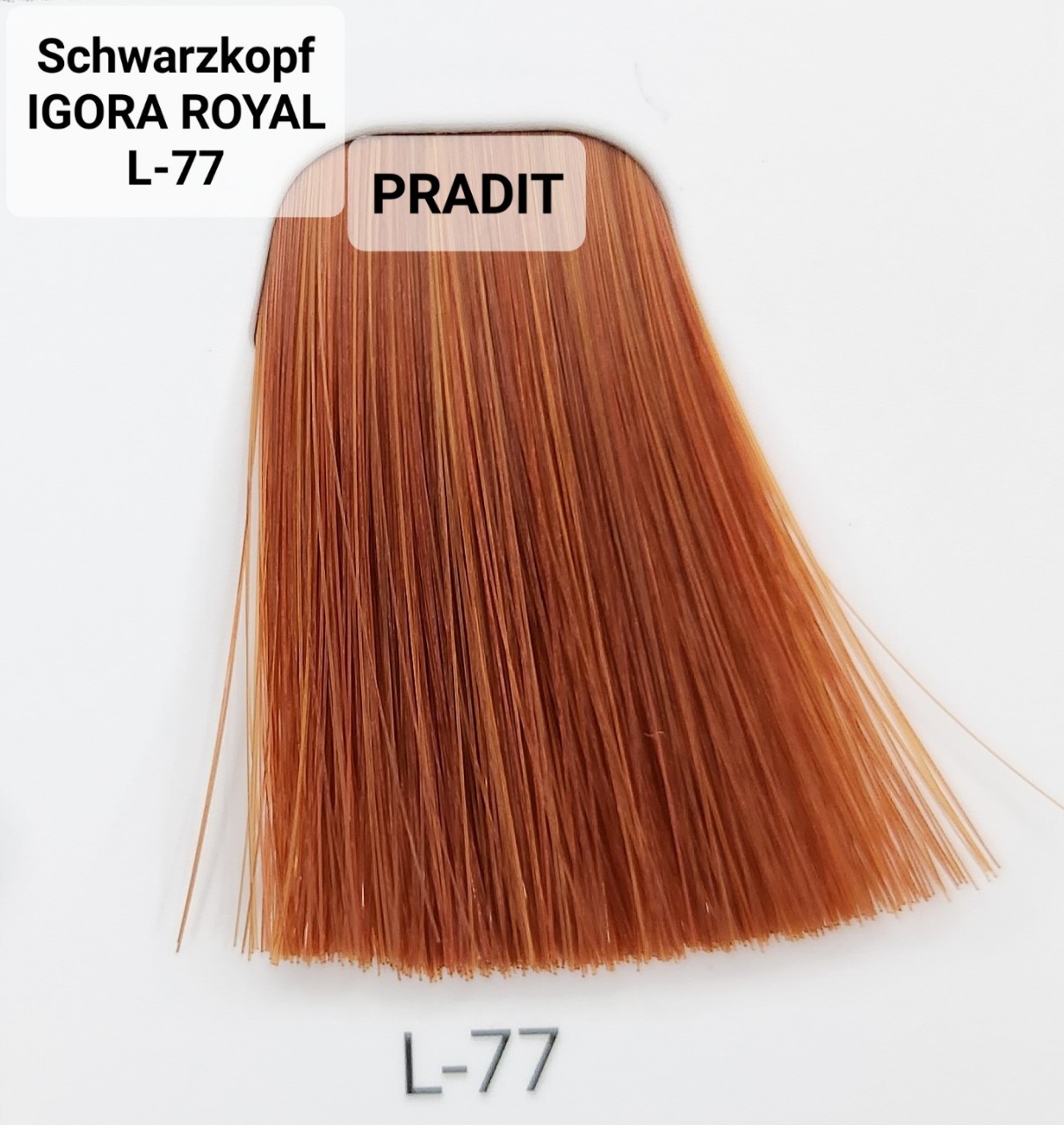Schwarzkopf Igora Royal ครีมย้อมผม อีโกร่า รอยัล เบอร์ L-77 (60ml) 80 กรัม