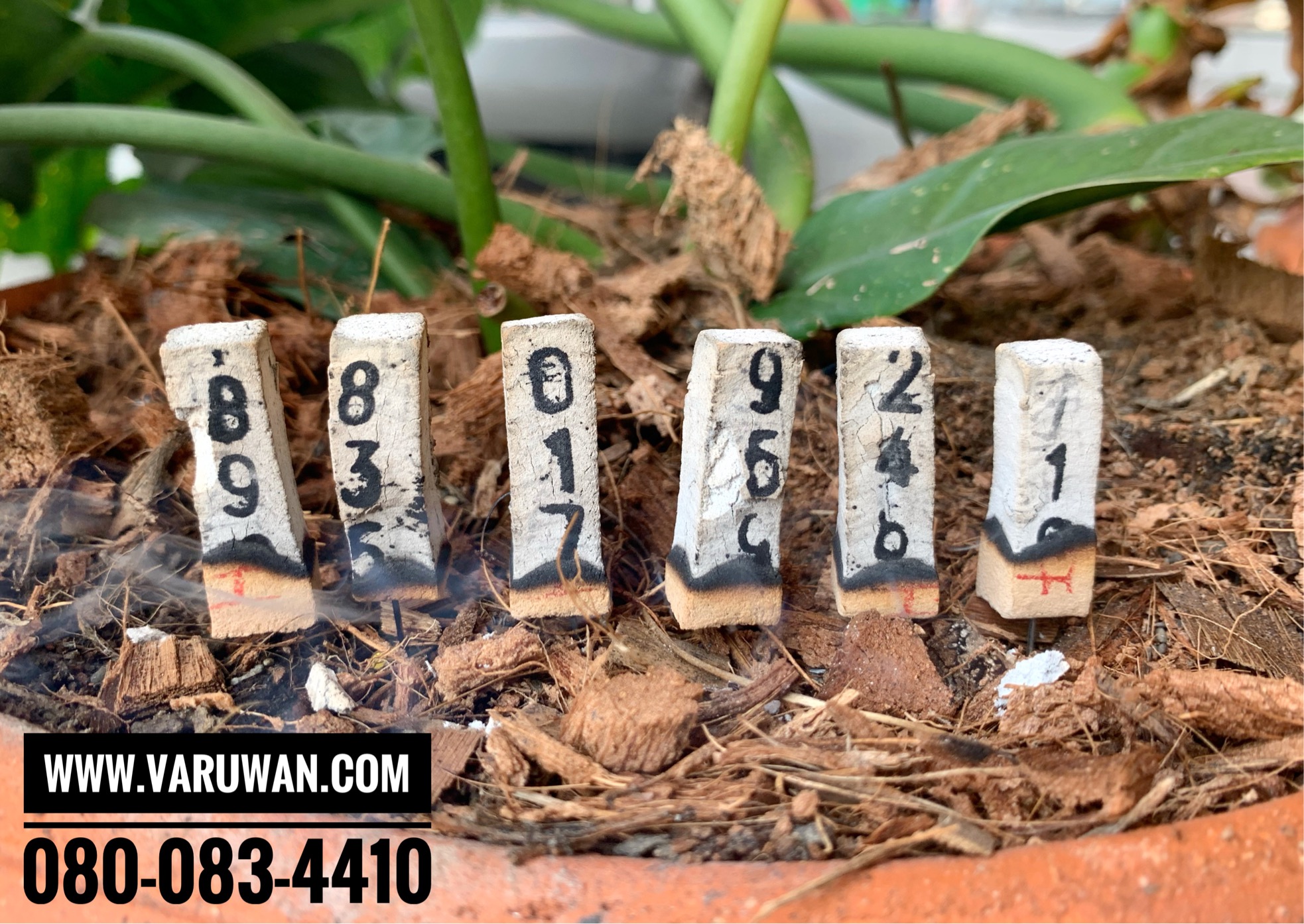 ธูปหวย (ธูปตัวเลข)