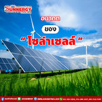 อนาคตของโซล่าเซลล์: การพัฒนาเทคโนโลยีและแนวโน้มการใช้งาน