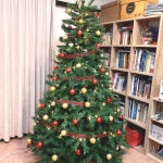 ต้นคริสต์มาส 2.1 เมตร+ตกแต่ง Classic Red & Gold