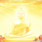 การ์ดเดี่ยว(รหัส3396)