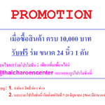 โปรโมชั่น 6/64 (หมดโปรโมชั่นแล้ว)