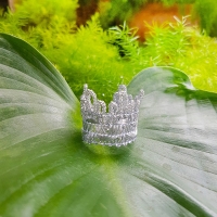 รัดเกล้าGSP.No.18