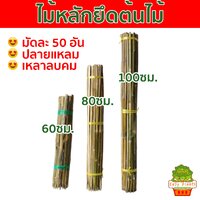 ไม้หลักยึดต้นไม้ ปลายแหลมยาว 100ซม