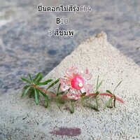 ปิ่นดอกไม้สีรุ้งCh4No.3