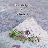 ปิ่นดอกไม้สีรุ้งCh4No.4