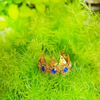 รัดเกล้าใบไม้ทองเบอร์ 5
