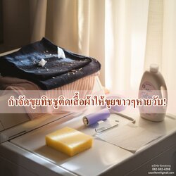 วิธีกำจัดขุยทิชชูติดเสื้อผ้า แก้ปัญหาขุยขาวๆ ให้หายวับ!