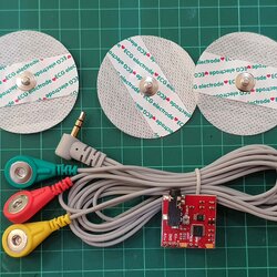 EMG Muscle Sensor เซนเซอร์วัดการขยายตัวของกล้ามเนื้อ