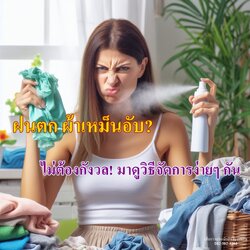 ฝนตก ผ้าเหม็นอับ? ไม่ต้องกังวล! มาดูวิธีจัดการง่ายๆ กัน