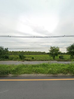 ขายที่ดินขนาด 46-1-41 ไร่ ติดถนนใหญ่ พานทอง จ.ชลบุรี เหมาะสร้างคลังสินค้าหรือศูนย์กลางโลจิสติกส์