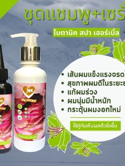 ผมร่วง ลดลงอย่างเห็นได้ชัดเจนภายใน 10-14 วัน ด้วย Botanic set ชุดโบตานิค : แชมพู + เซรั่มสมุนไพรบำรุงเส้นผมและหนังศีรษะ