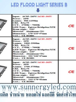 LED flood light STC-QF-FLB10W
