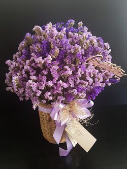 ตระกร้าสแตติส Size m