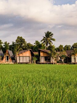 ขายโรงแรมในอยุธยา ขนาด 62 ห้องพัก บรรยากาศกลางทุ่งนา