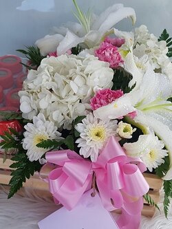 กระเช้าสก็อตซุปไก่คิตซ์ สำหรับเด็ก