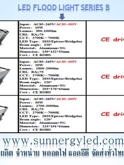 LED flood light STC-QF-FLC100W