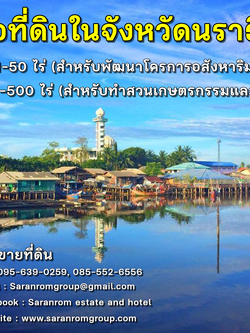 รับซื้อที่ดินใน 3 จังหวัดชายแดนภาคใต้ นราธิวาส ปัตตานี ยะลา