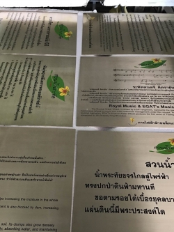 ป้ายเนมเพลท