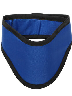 ปลอกคอกันรังสี (Lead Collar)