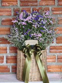 ดอกสแตติสอบแห้ง