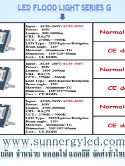 LED flood light STC-QF-FLG30W
