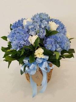 ตะกร้าไฮเดรนเยีย