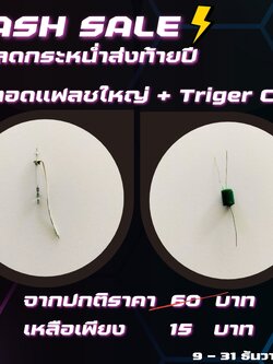 หลอดแฟลช + TRIGER COIL