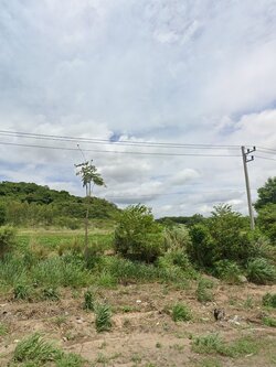 ขายที่ดินขนาด 67-0-76.8 ไร่ ใกล้นิคมอุตสาหกรรมอีสเทิร์นซีบอร์ด ต.บ่อวิน อ.ศรีราชา จ.ชลบุรี