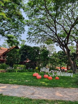 ขายรีสอร์ทพร้อมสวนอาหาร ใน จ.ลำพูน บรรยากาศท่ามกลางธรรมชาติ วิวเขาและทุ่งนา