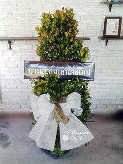 R (37) พวงหรีดต้นไม้